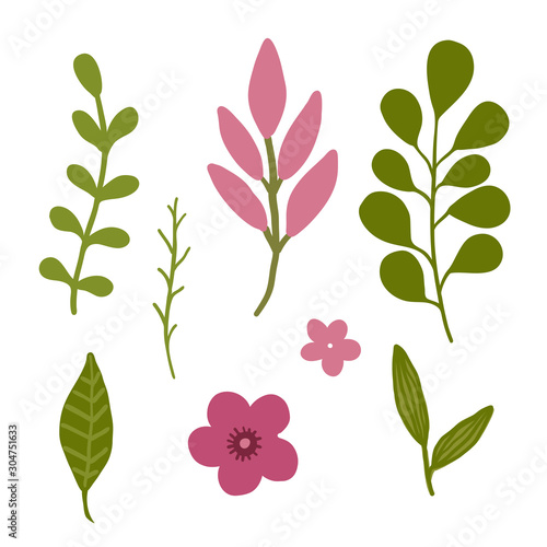 Fototapeta Naklejka Na Ścianę i Meble -  Floral vector elements. Decorative isolated leaves for spring design decoration.