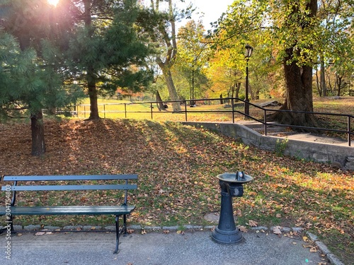 Photography Daily walking around in Central Park Manhattan New York City.