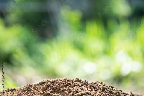soil and blurred background copy space