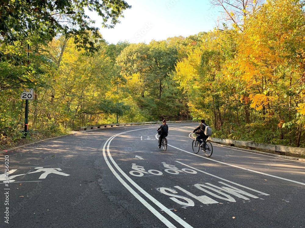 Obraz premium Daily walking around in Central Park Manhattan New York City.