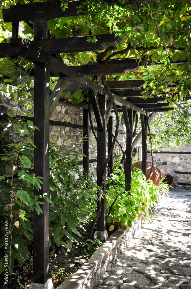 Ancient vineyard. Construction with pillars and crossbars Ancient vineyard. Construction with pillars and crossbars