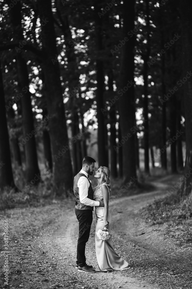 Fototapeta premium Sensual Black and white foto of bride and groom. Stylish couple of happy newlyweds posing in the park on their wedding day. Handsome bearded groom admires and kisses pretty bride. Together.