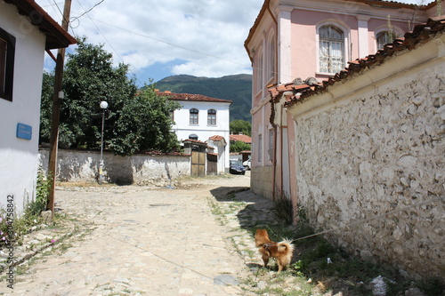 Street with old buildings, Bulgaria