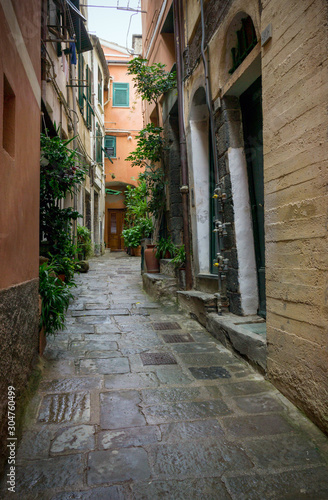 Fototapeta Naklejka Na Ścianę i Meble -  Town of Vernazza, Italy
