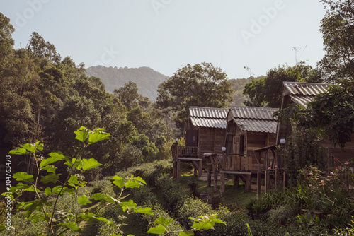 old house in the forest © supachai