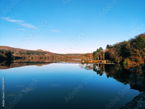 lake in forest