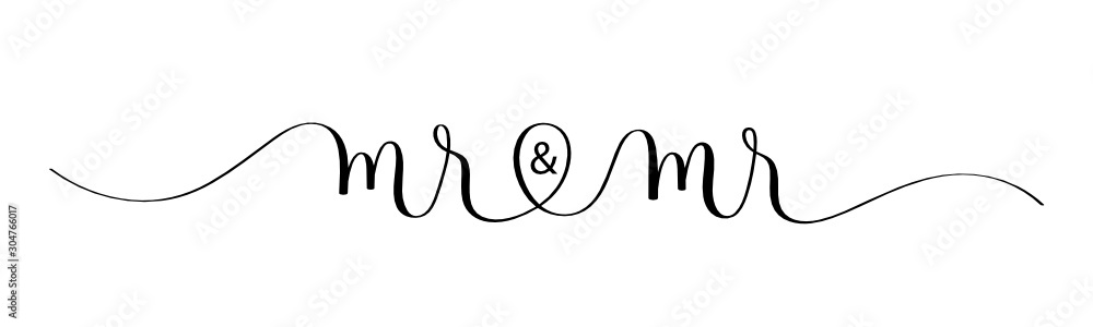 Fototapeta premium MR & MR black vector brush calligraphy banner with swashes