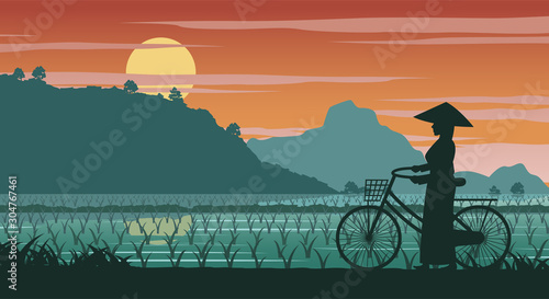 Vietnamese woman hold bicycle walk pass rice field on sunset time,vector illustration