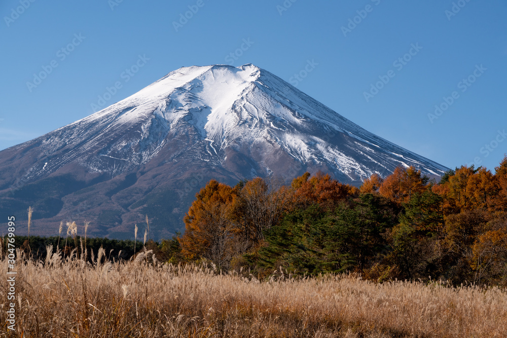 梨ヶ原からカラマツとススキと富士山