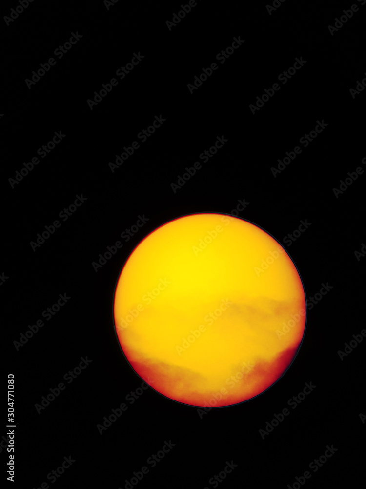 Sole Sole
