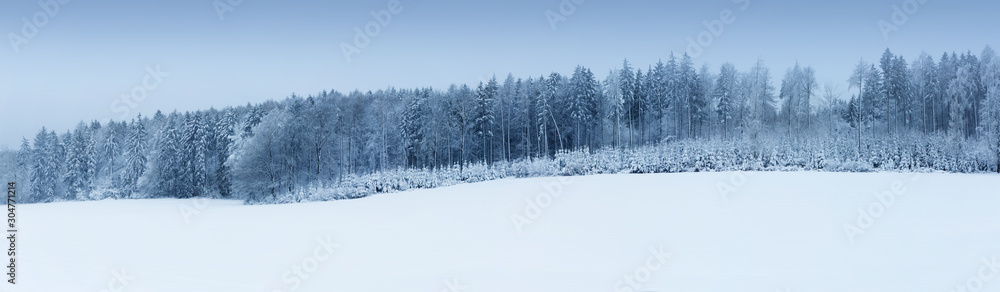 Panorama verschneiter Winter Wald, blauer Himmel Panorama verschneiter Winter Wald, blauer Himmel