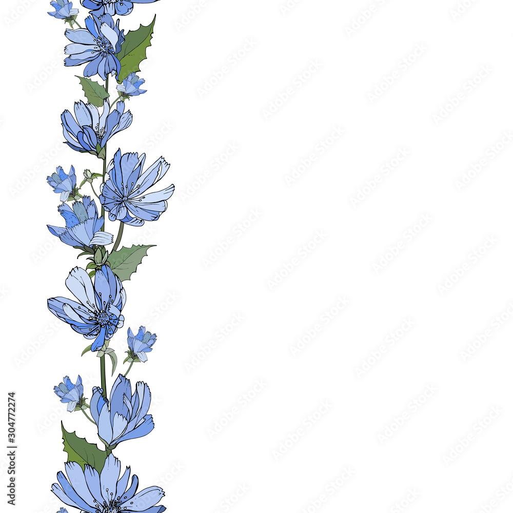 Floral vertical border with blue flowers chicory and green leaves on white. Hand drawn. Endless pattern brush. For your design, greeting cards, invitation. Copy space. Vector stock illustration. Floral vertical border with blue flowers chicory and green leaves on white. Hand drawn. Endless pattern brush. For your design, greeting cards, invitation. Copy space. Vector stock illustration.