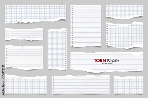 White ripped lined paper strips collection. Realistic paper scraps with torn edges. Sticky notes, shreds of notebook pages. Vector illustration.