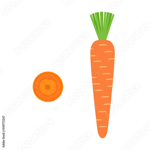 Carrot. Piece of carrot. Isolated Vector Illustration.