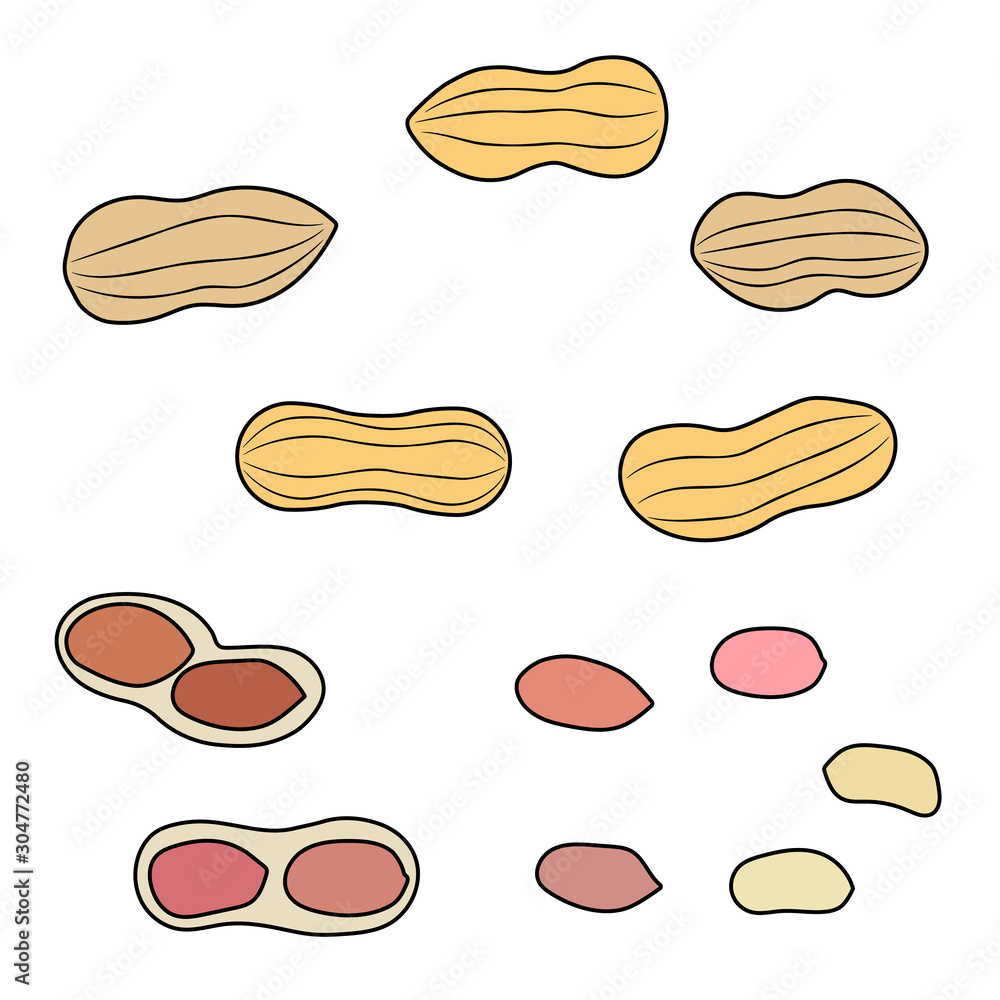 Set of peanuts. Vector illustration.