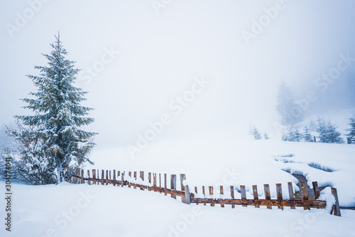 Beautiful panorama of fences © YouraPechkin