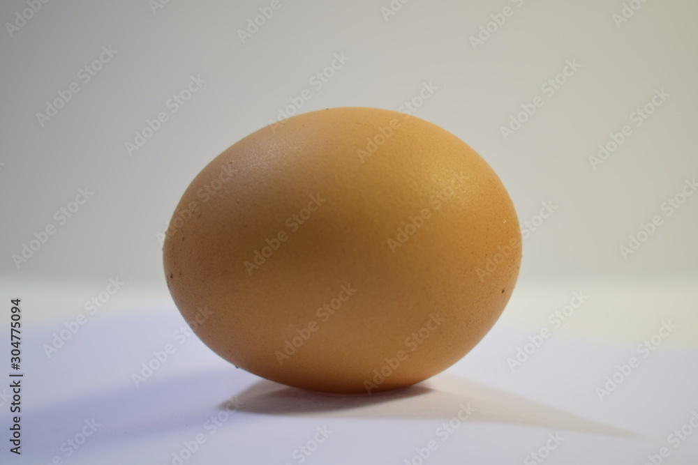 chicken egg isolated on white background chicken egg isolated on white background