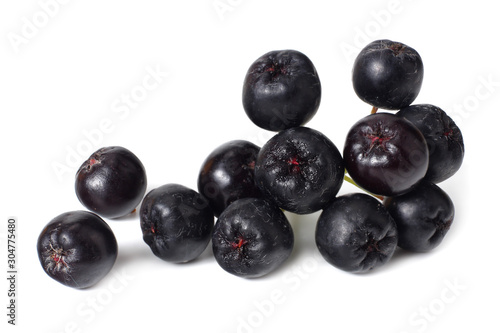 Chokeberry isolated on white background. Black aronia