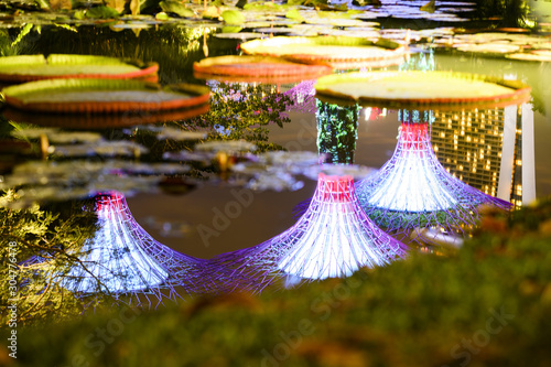 Photography (Selective focus) Illuminated supertree Grove reflected on a pond in Singapore