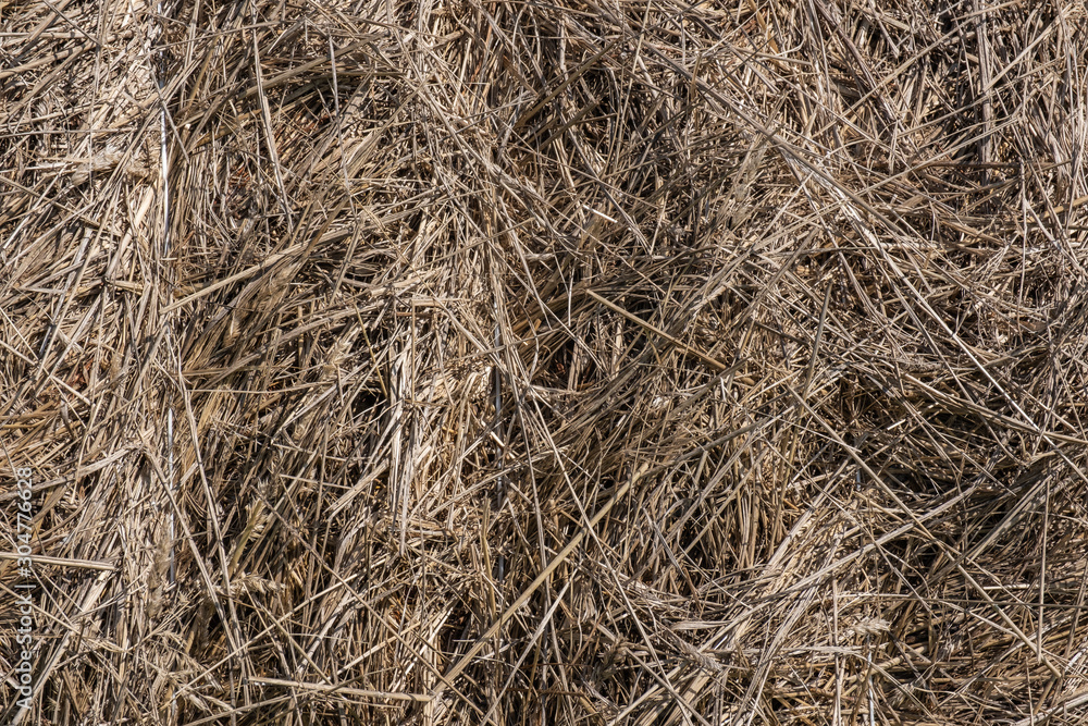 Dry yellow pressed straw. Dry bunch of hay texture. Abstract straw texture. Dry yellow pressed straw. Dry bunch of hay texture. Abstract straw texture.