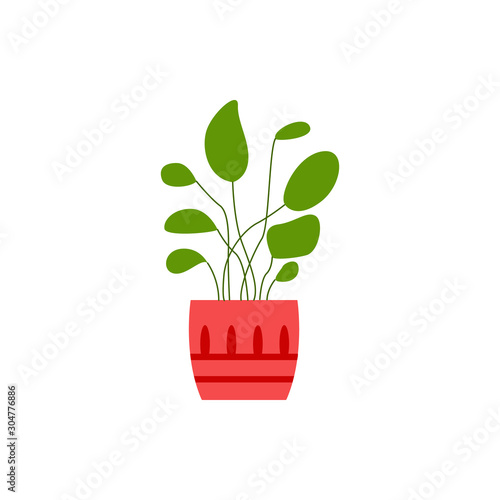 House plant with leaves in decorative pot icon flat vector illustration isolated.