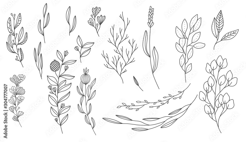 Flowers Leaf Line Art Flowers Leaf Line Art