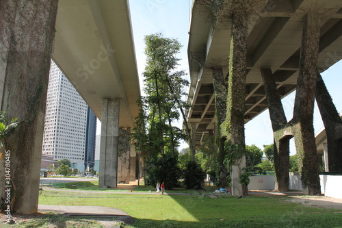 Flyover with green plants covering it