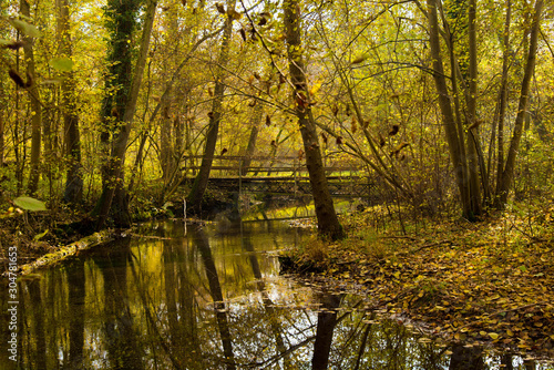 November im Ried bei Erstein im Elsass