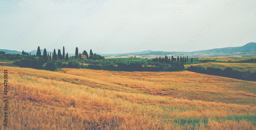 Tuscany, rural sunset landscape. Cypress trees, green and golden fields, sun light. Holiday, traveling concept. Vintage tone filter effect with noise and grain.