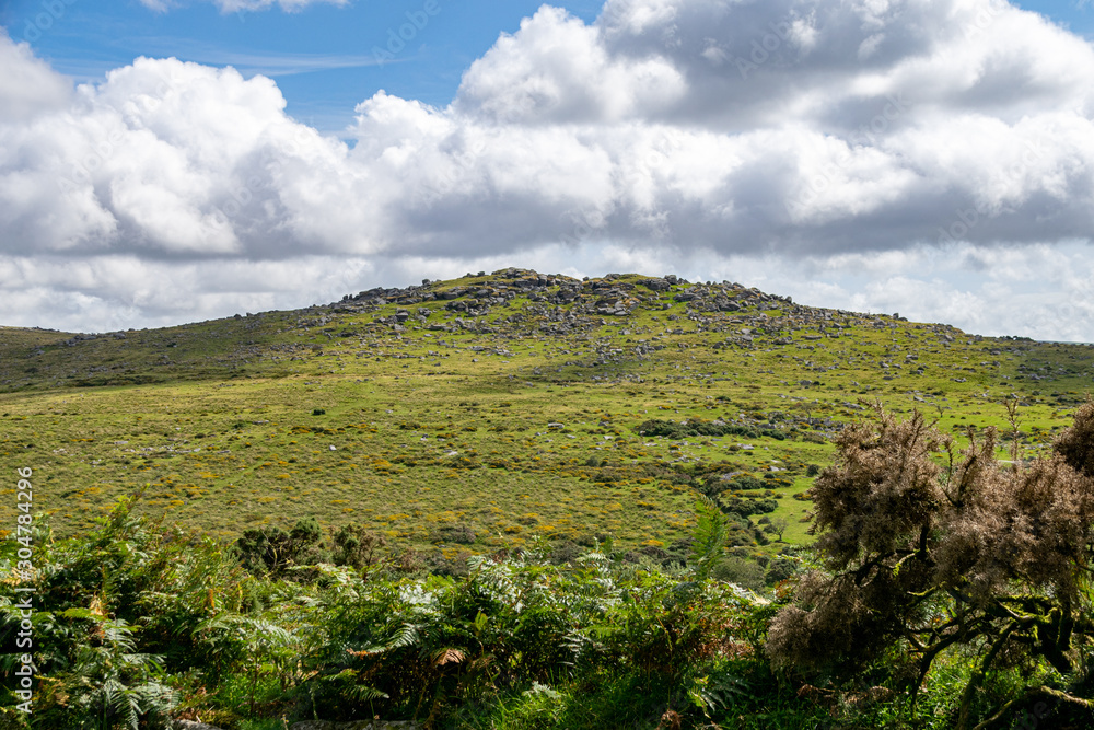 Landscape of Dartmoor National Park in late summer