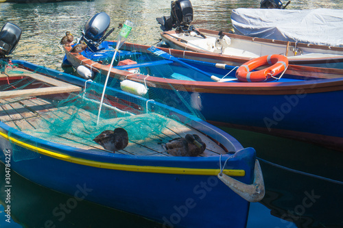 anatre in porto sopra una barca da pesca