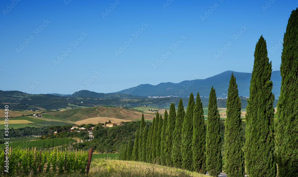 Landscape with a cypresses and rural path near Siena town in Tuscany, Italy.
