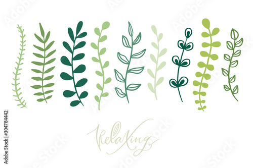 Green branches and leaves. Botanical printable design. Floral sketch collection. Decorative botanical elements. Leaves for wall stickers.