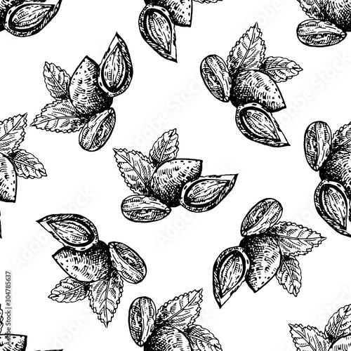 Seamless pattern of hand drawn sketch style almonds isolated on white background. Vector illustration.