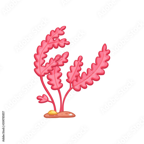 Underwater seaweed or pink algae leaves cartoon vector illustration isolated.