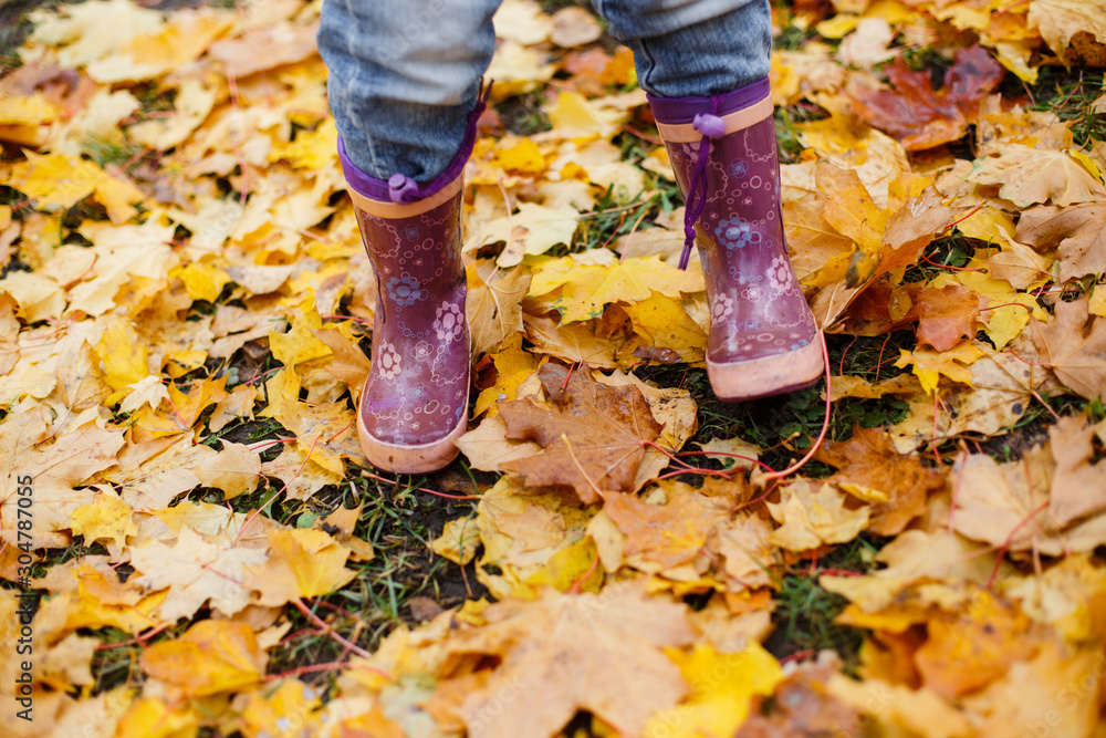 A child walks in lilac rubber boots on yellow autumn leaves
A child walks in lilac rubber boots on yellow autumn leaves