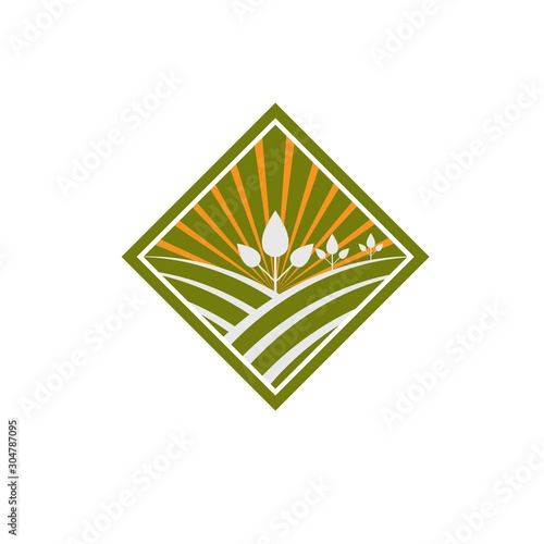 Agriculture vector logo design, agronomy, wheat farm, rural country farming field, natural harvest