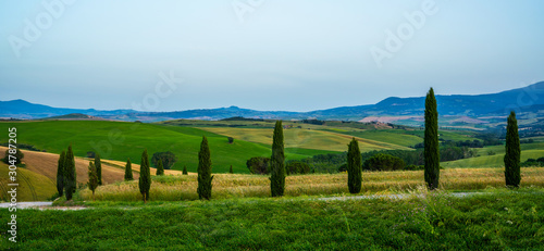 Traditional countryside and landscapes of beautiful Tuscany. Fields in golden colors and cypresses. Holiday, traveling concept. Agro tour of Europe.