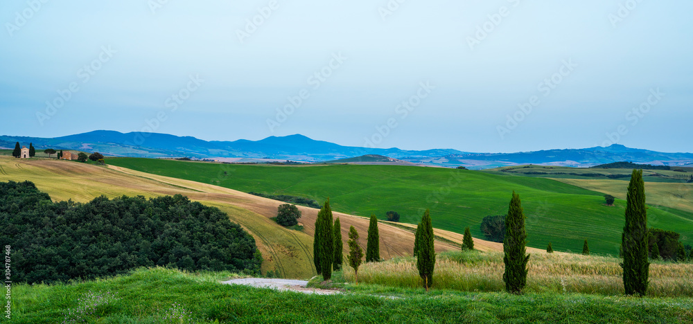 View of a evening in the Italian rural landscape. Unique Tuscany landscape in summer time. Wave hills, colorful fields, cypresses trees and sky.