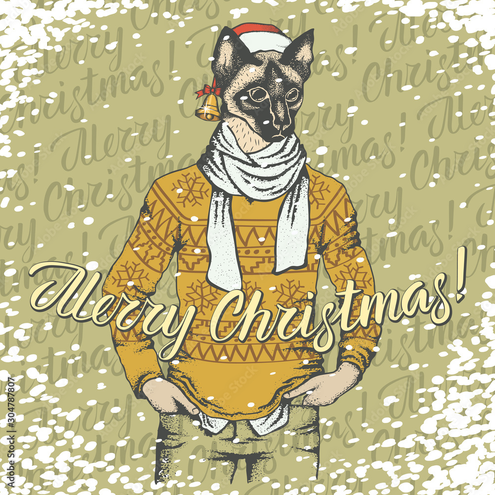 Fotografie Christmas cat vector illustration