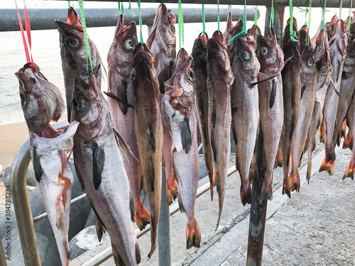 fish drying outdoors on beach in South Korea