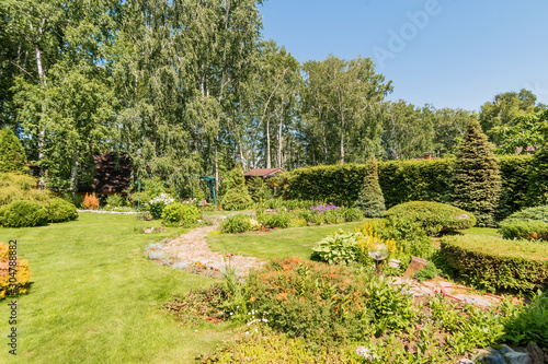 Russia, Moscow- July 06, 2019: green coniferous garden, spruce fir-tree plants by the country house. beautiful landscaping