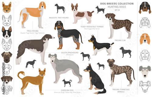Obraz na plátne Hunting dogs collection isolated on white clipart