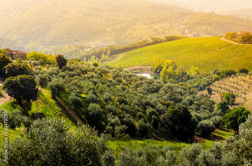 Under the golden sun of Tuscany, beautiful landscape 