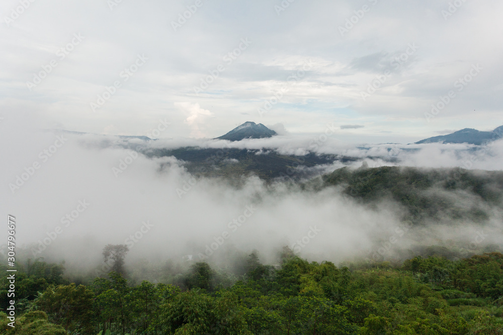 Dramatic picture with fog over the jungle. A volcano is visible in the distance.