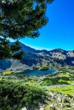 High mountain lake. Alpine nature, summer landscape backdrop.