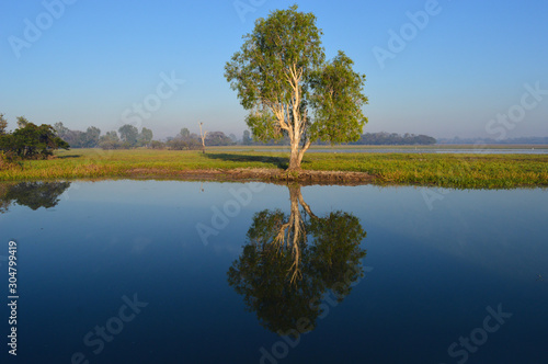 Baum spiegelt sich in ruhigem See © Sebastian