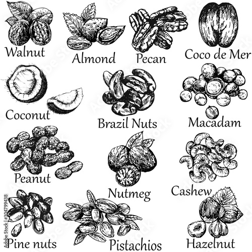 Set of hand drawn sketch style different kinds of nuts isolated on white background. Vector illustration.