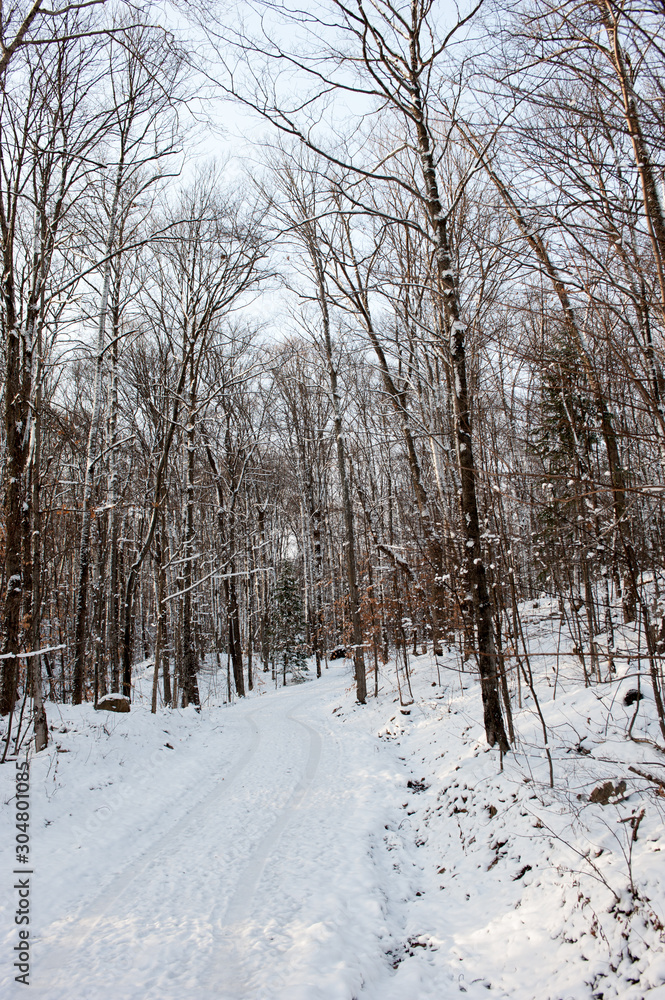 Foto reportaje: Una tarde de invierno, Wolf creek lake, Ontario, Canada.