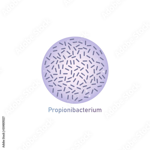 Propionibacterium genus of bacteria or food ferment vector illustration isolated.